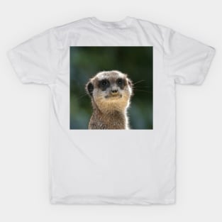 Meerkat 068 T-Shirt